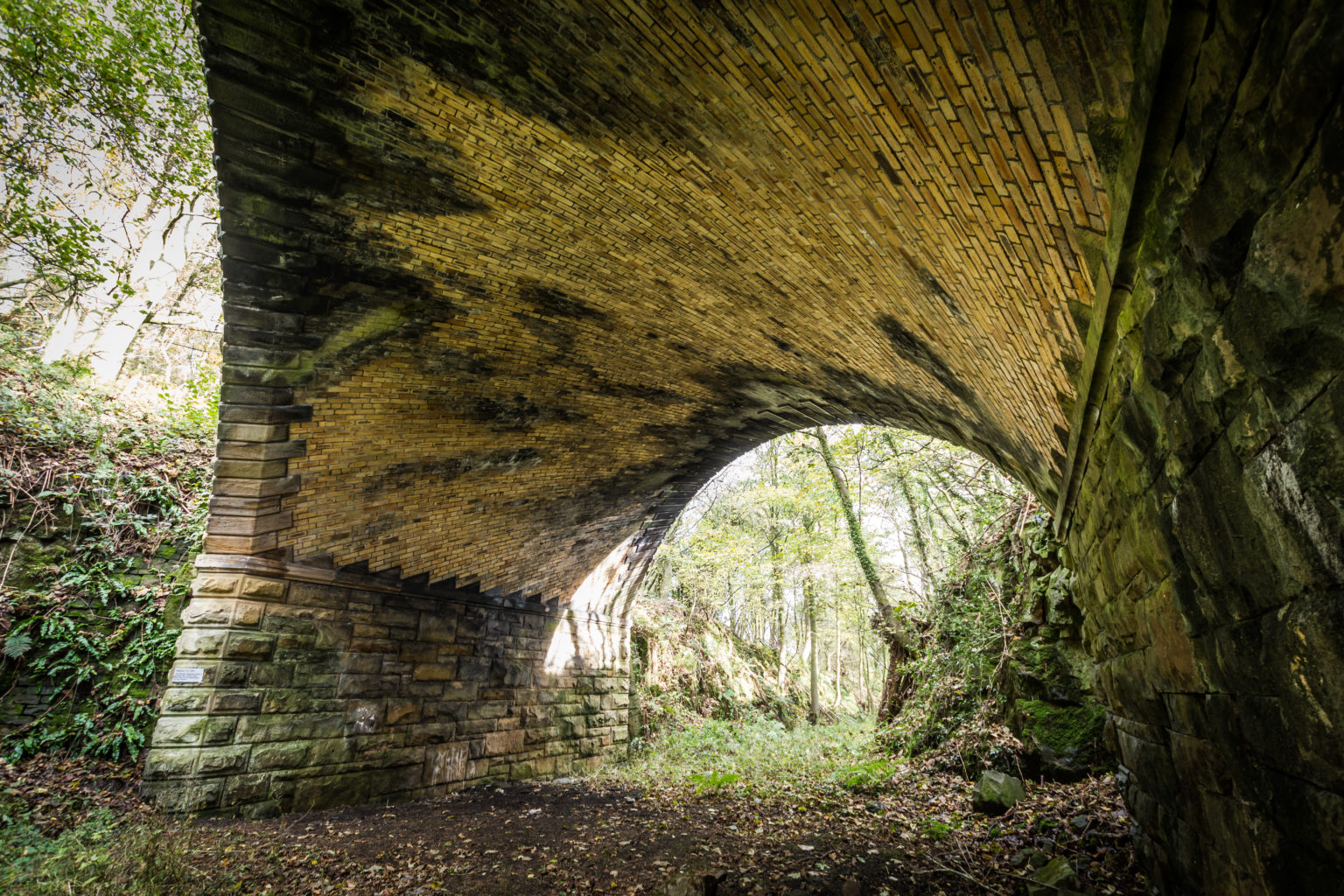 A bridge too far - Rail Engineer