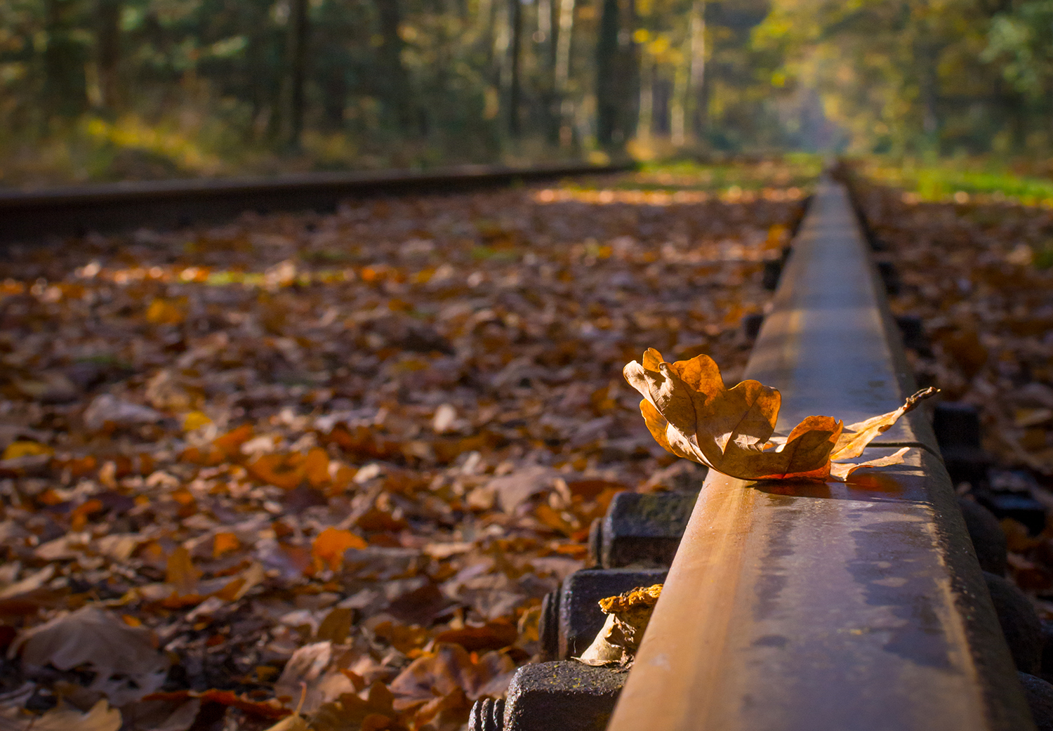 www.railengineer.co.uk