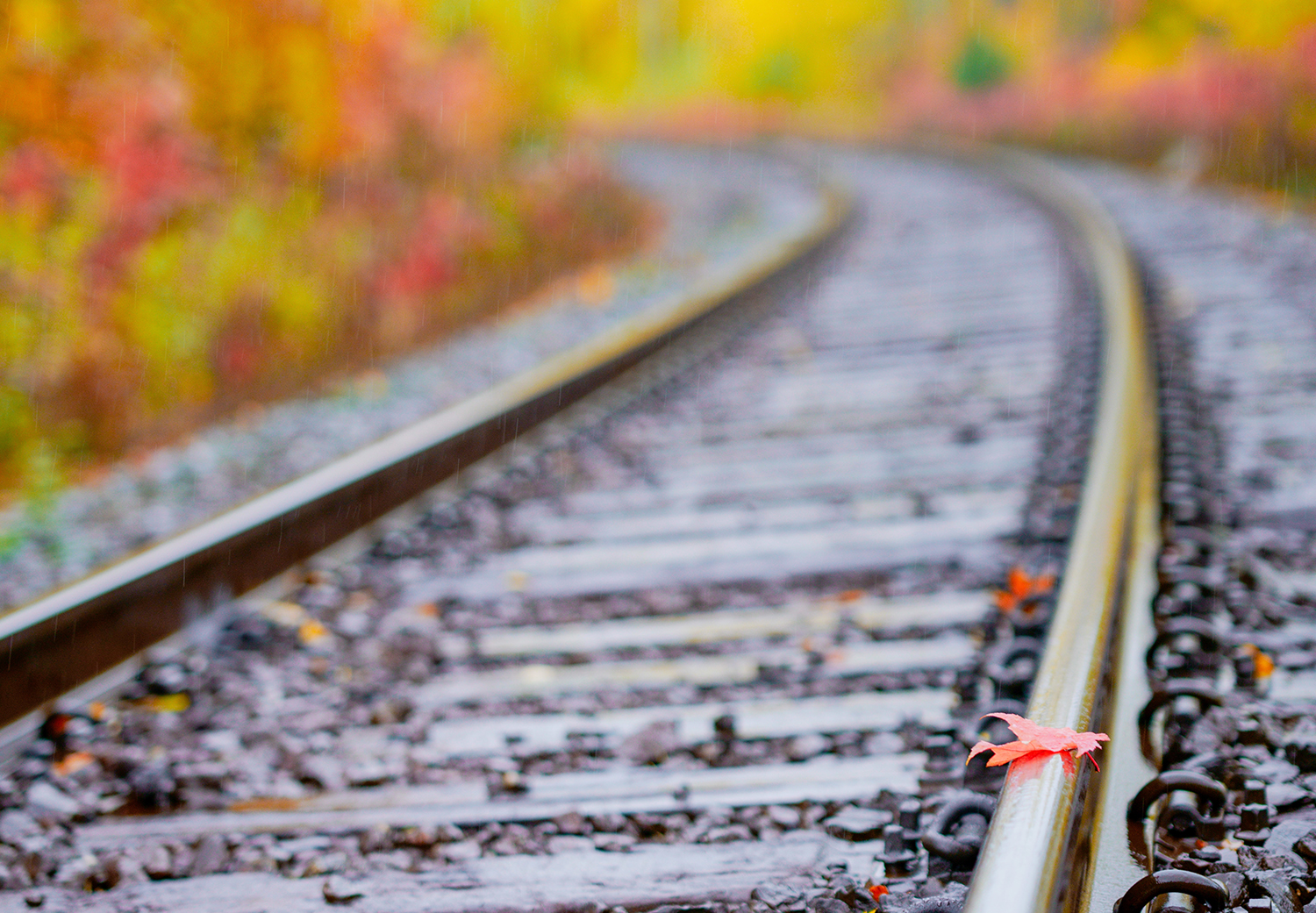 Lowadhesion Modelling Rail Engineer