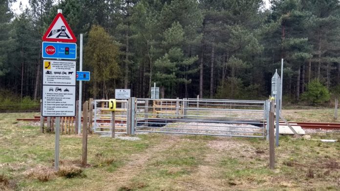 IMG_20190416_160246186_HDR RESIZED